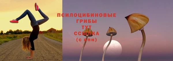 соль ск Костерёво