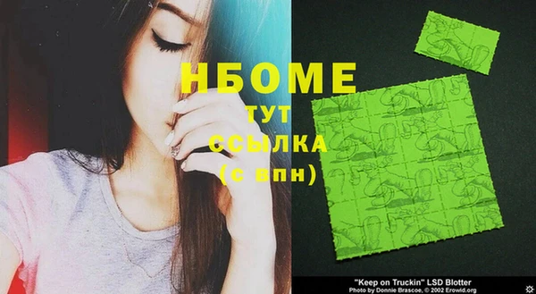 стафф Коряжма
