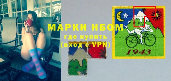 стафф Коряжма